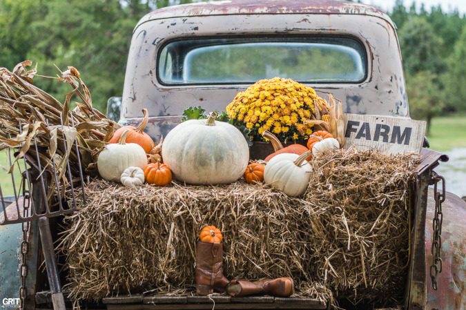 Pumpkin Pickin in our old Ford.