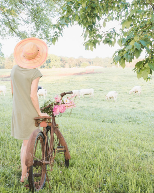 Working With a Mentor