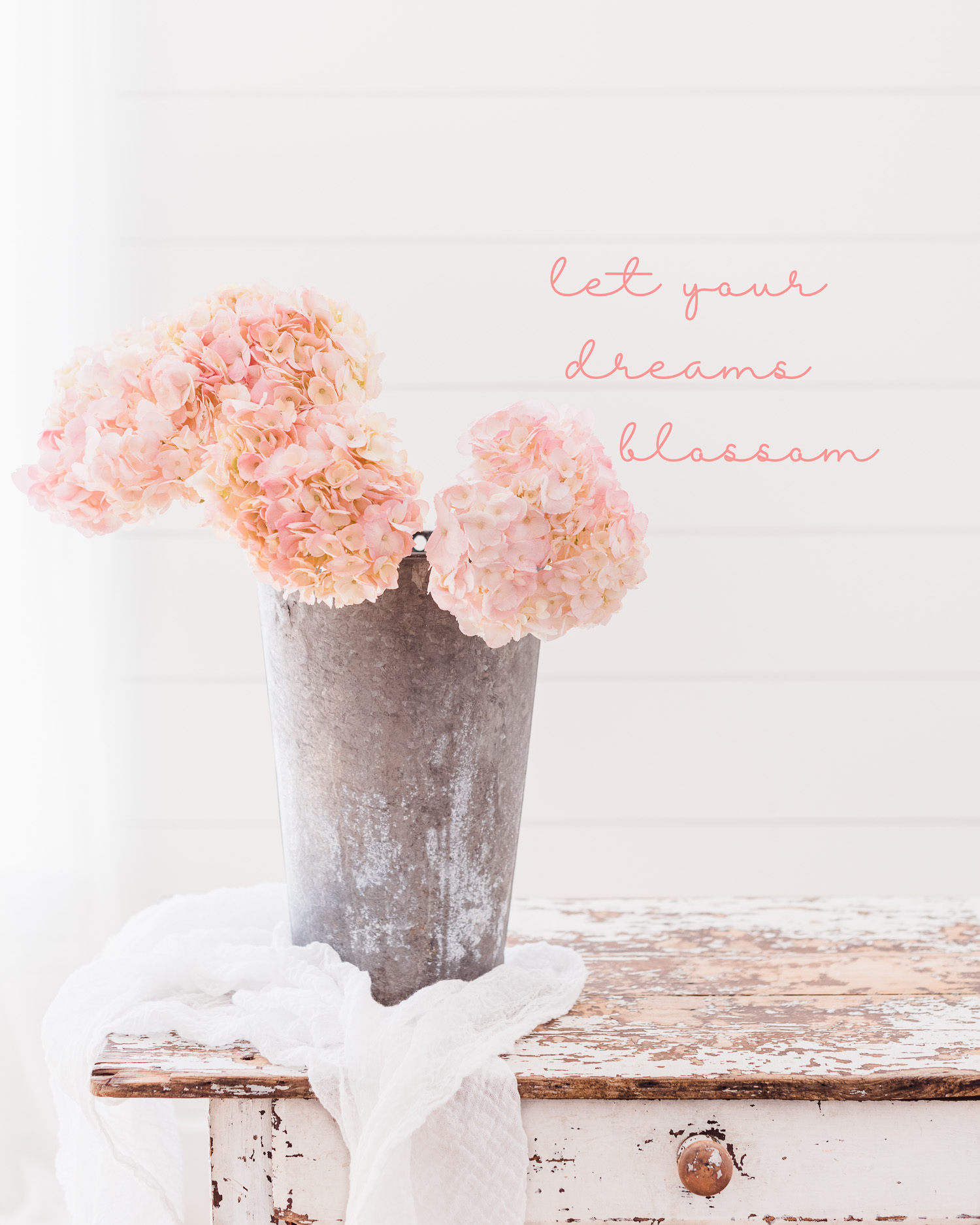 Pink Hydrangeas in a vintage sap bucket, bloom quote | Pink Hydrangeas for iPhone Wallpaper