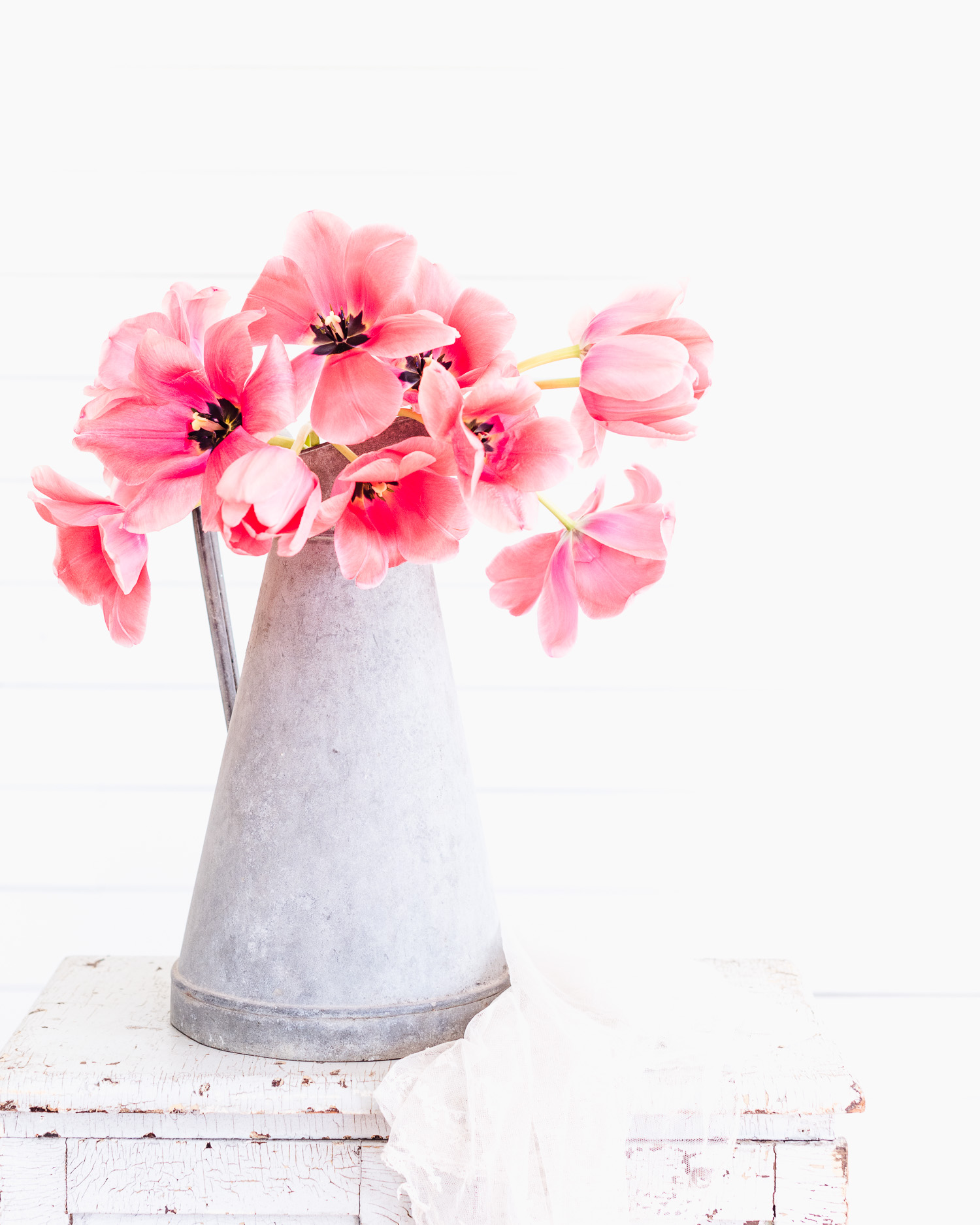 Reflexed Tulips | Pink Tulips in an Antique French Pitcher