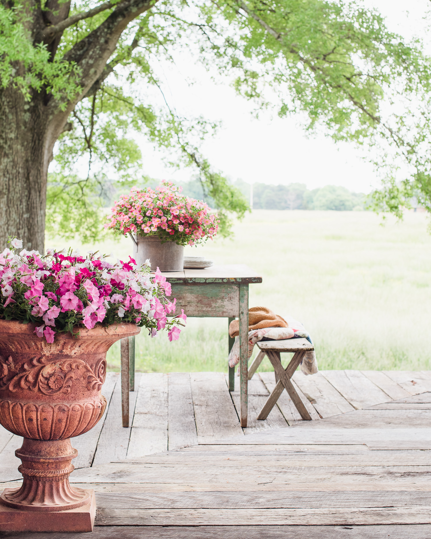Flowers in Urns, buckets, antique table, tattered quilt