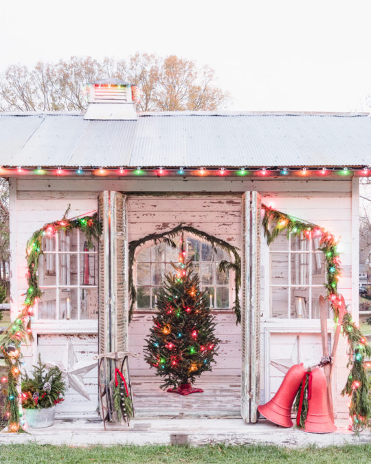 The Flower House Decorated For The Holidays