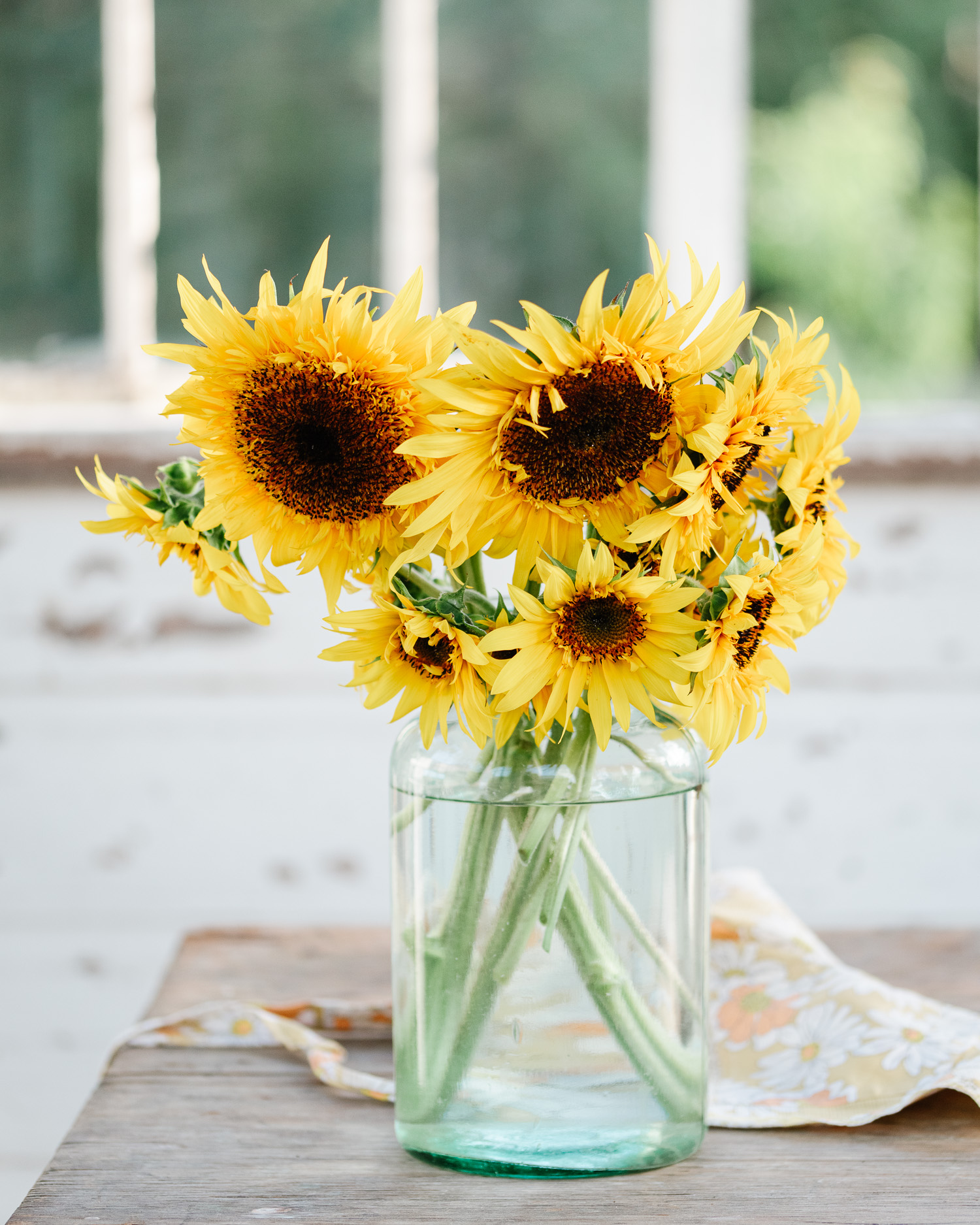 Frilly Sunflowers | Antique Vase