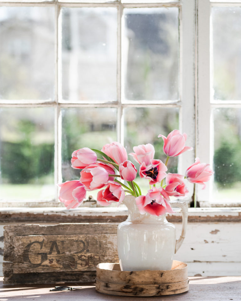 Tulips in a Ironstone Vase