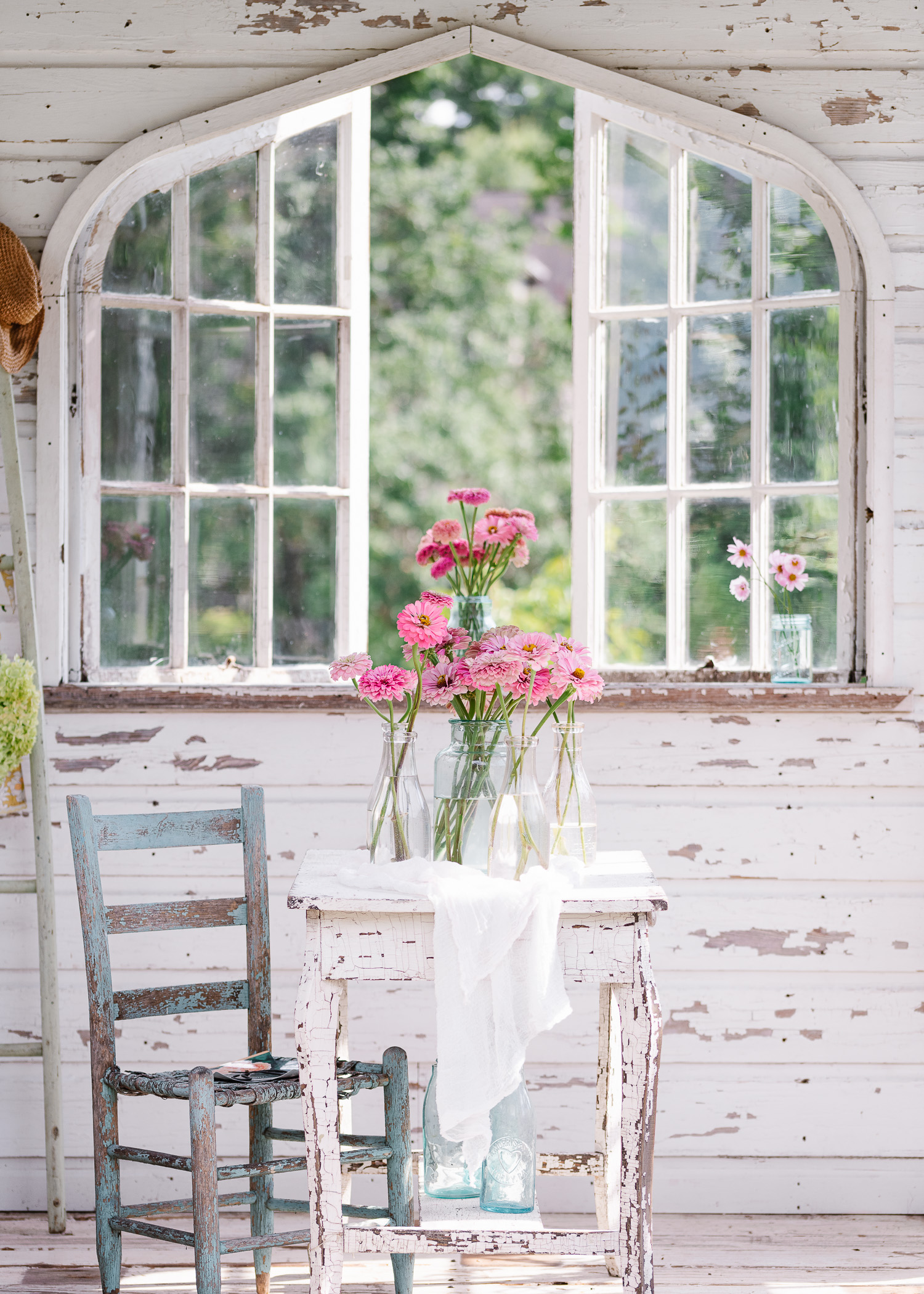 Pink Zinnias in The Flower House | Zinnias, Roses, Dahlias