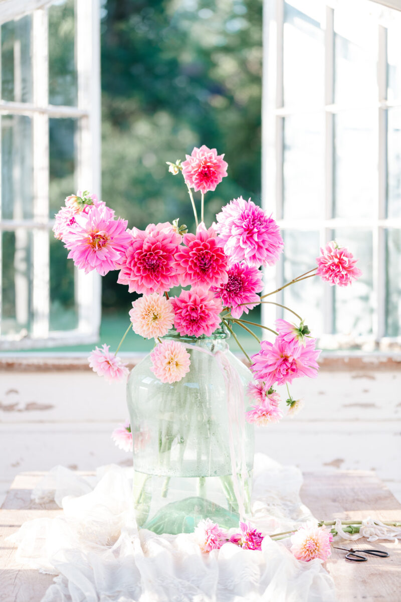 Antique French Jar filled with pink dahlias.