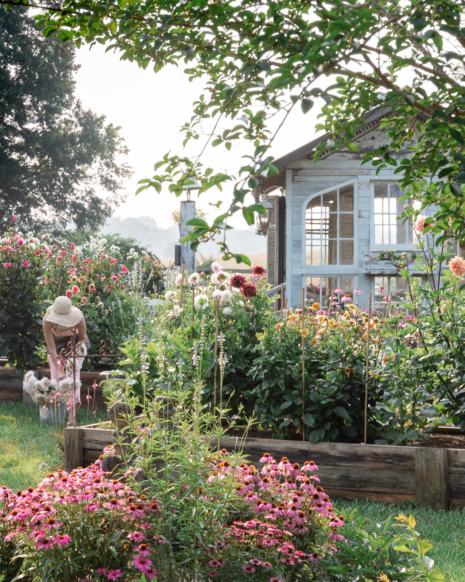 Flower Gardener in her cottage garden