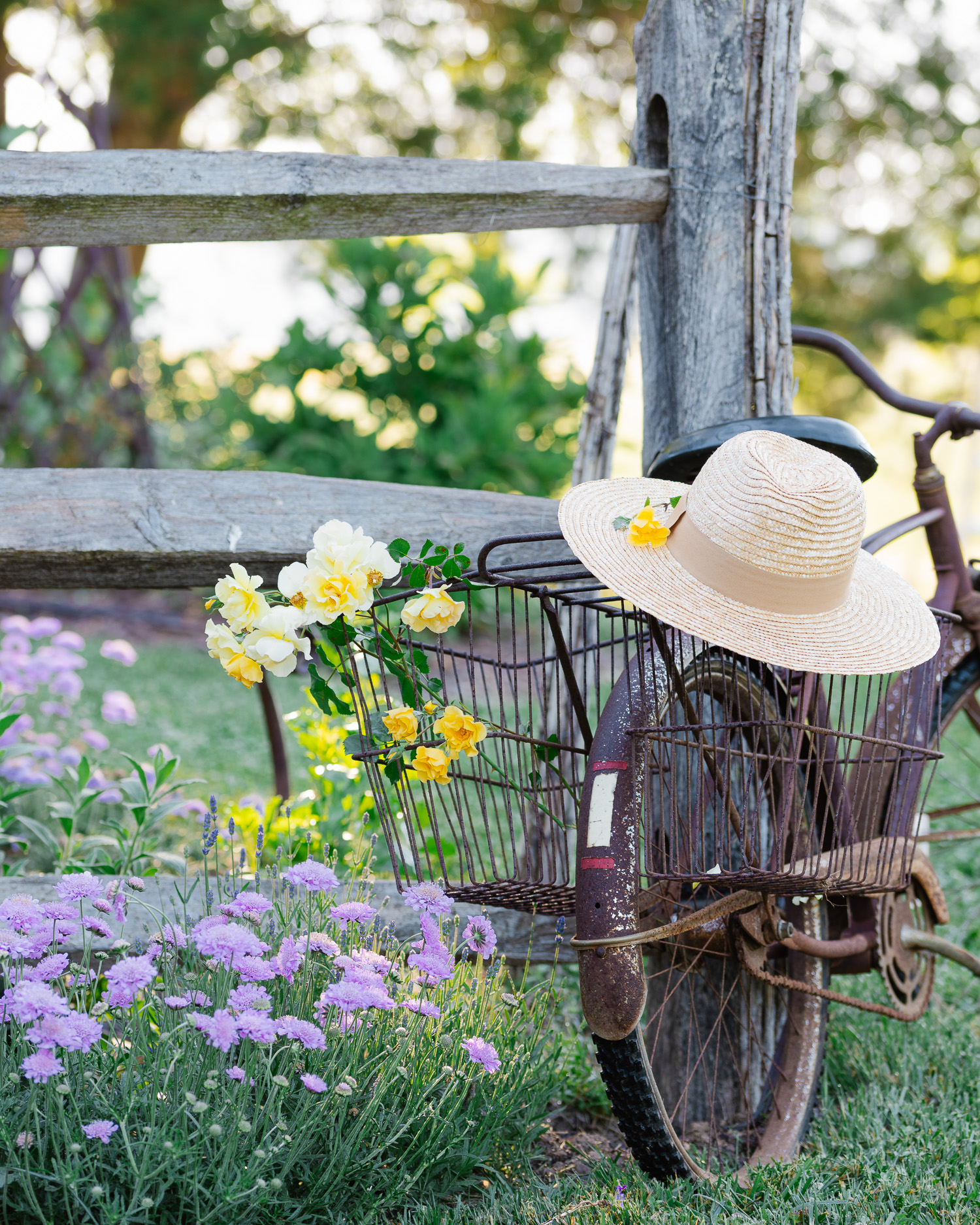 Antique Bike in a flower garden