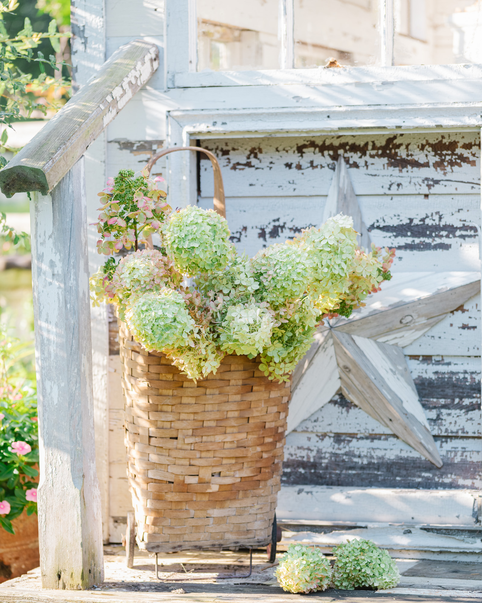 The flower house with vintage baskets and hydrangea blooms from the garden