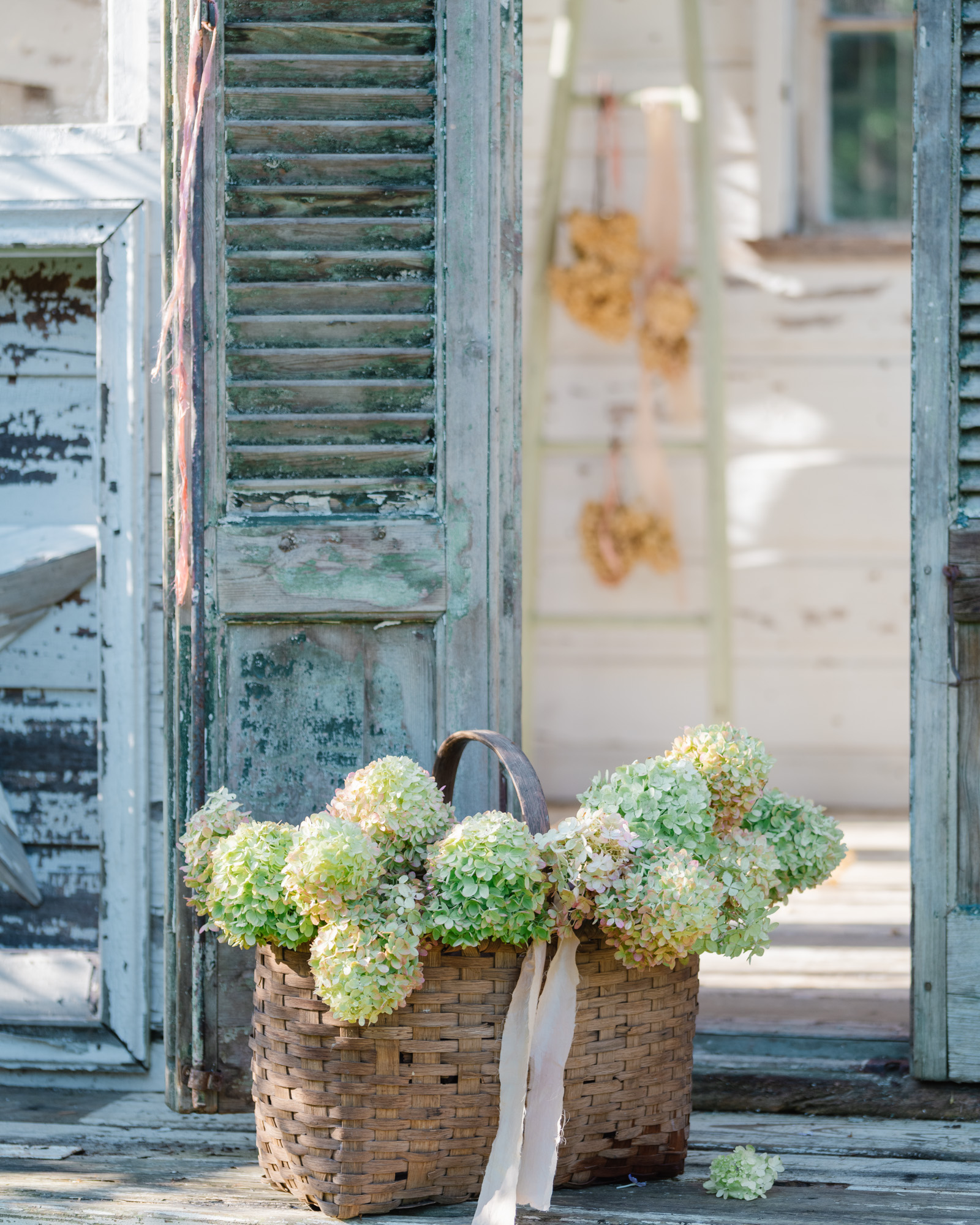 Vintage Basket filled with Hydrangeas Vintage basket filled with hydrangeas