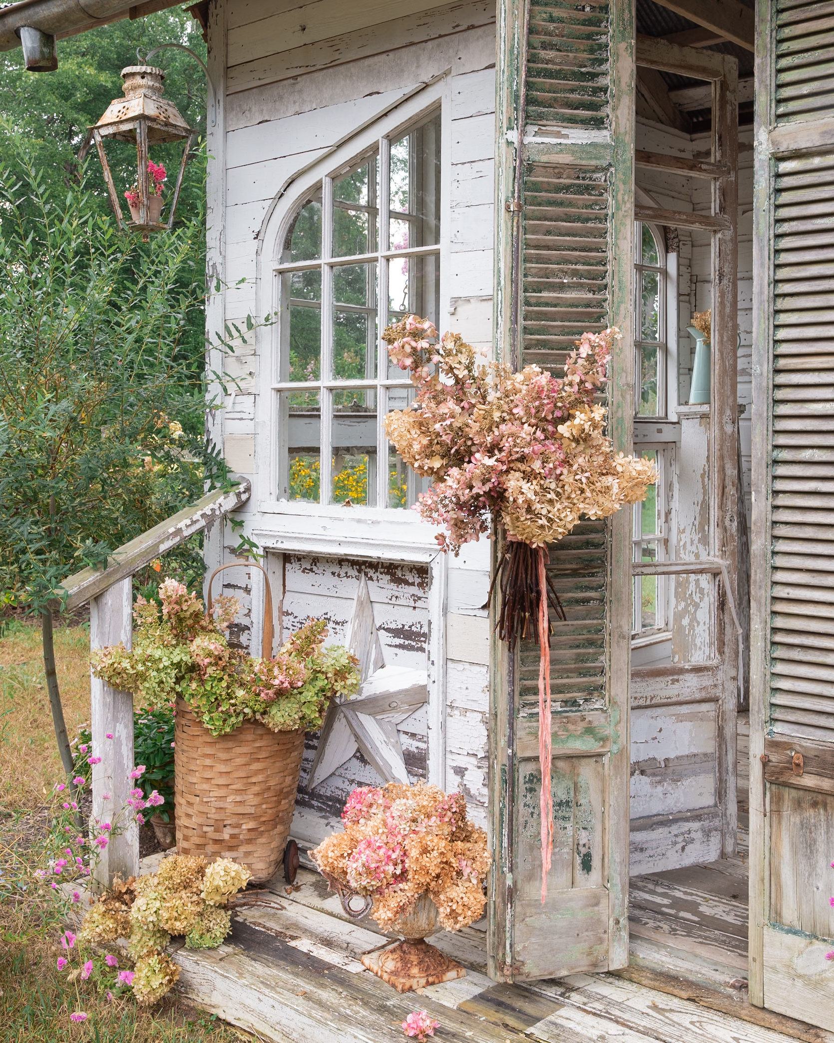 Dried Hydrangeas on the flower house porch