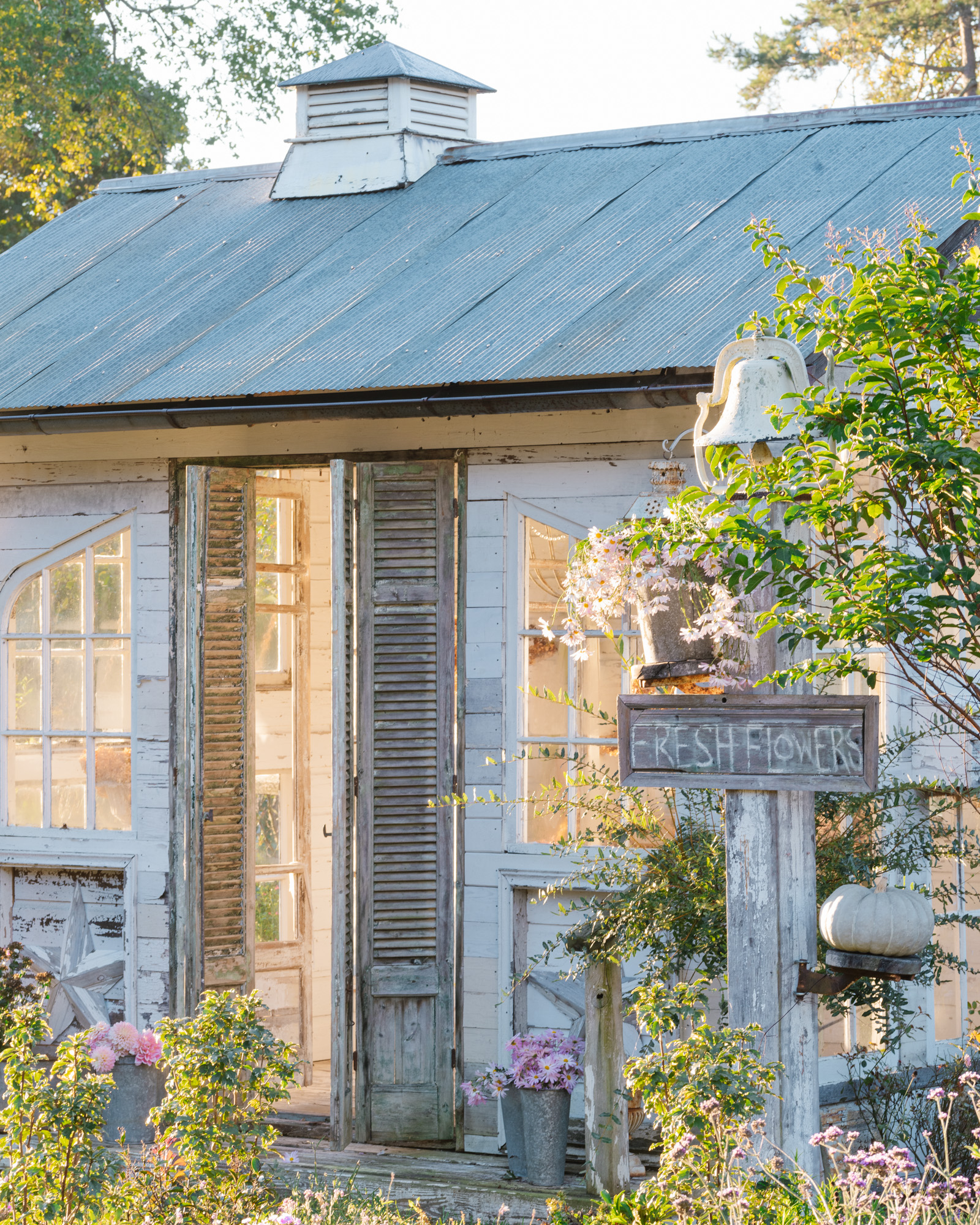 The flower house sunrise in the fall