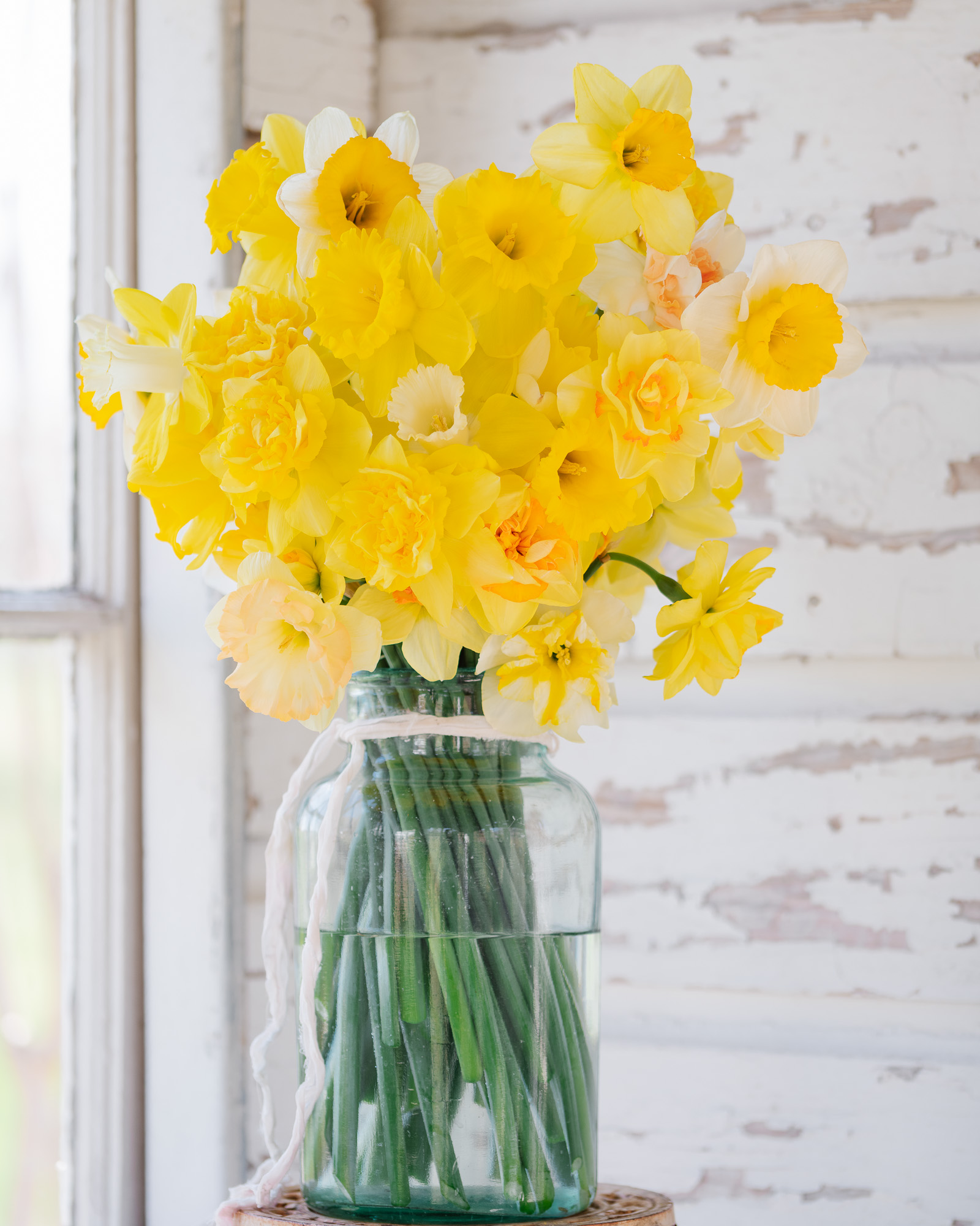 Daffodils in Vintage French Jar