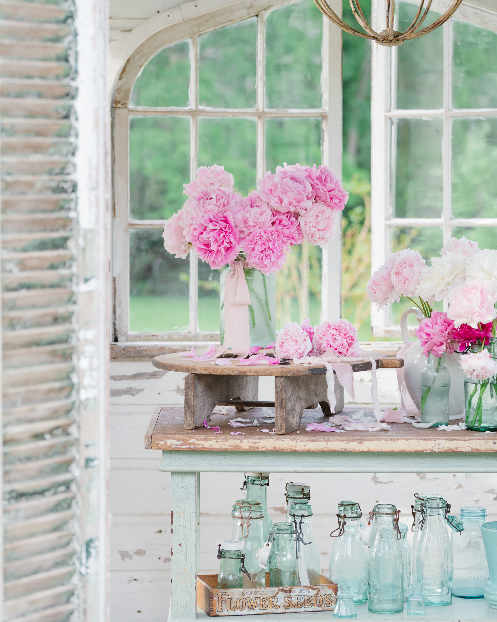 Peonies in the flower house