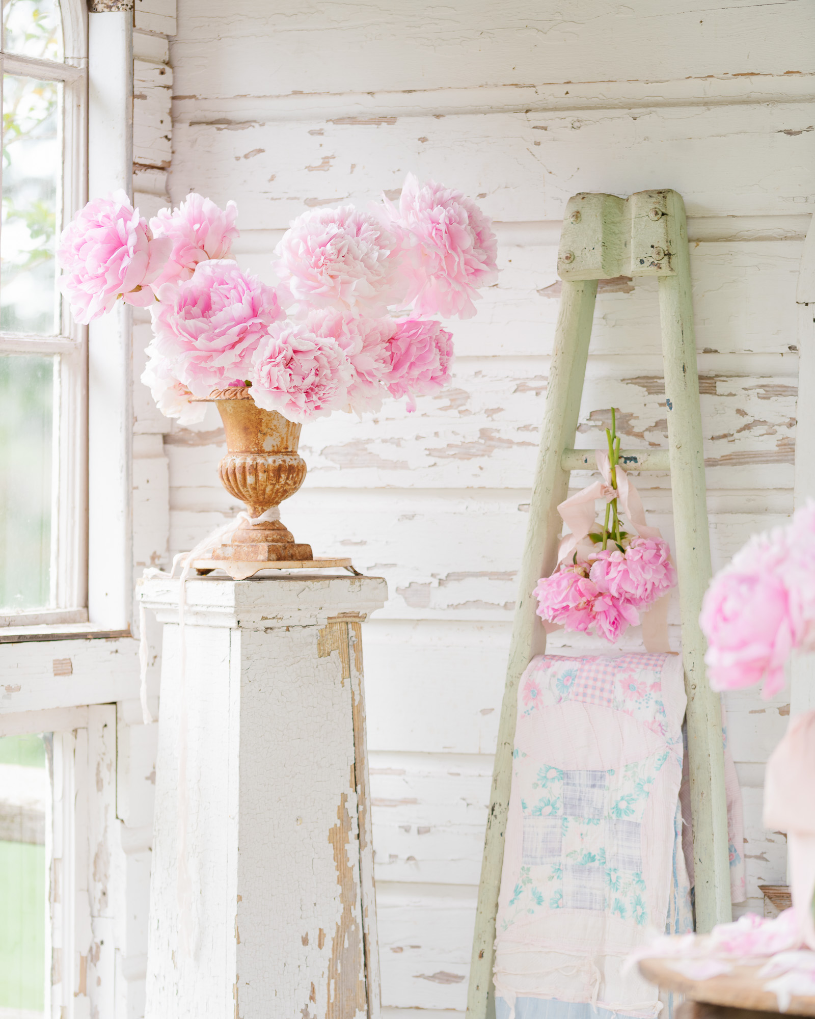 Pink Peonies in a vintage urn
