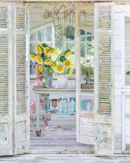 Sunflowers in the flower house