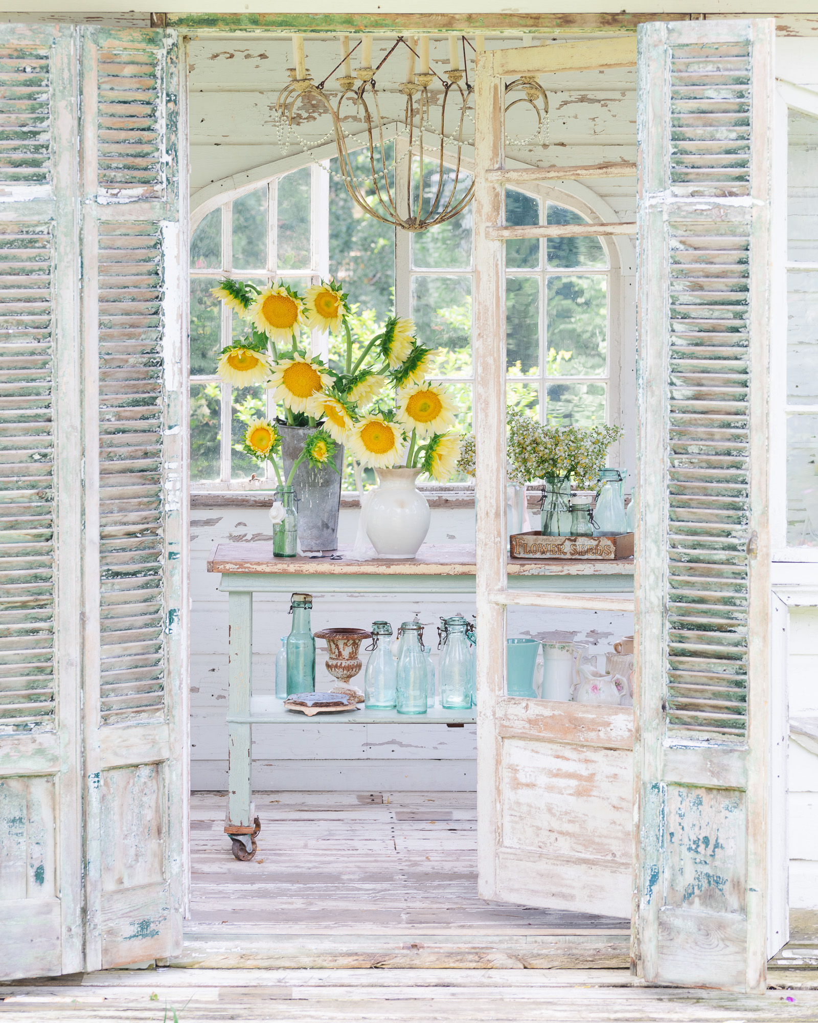 Sunflowers in the flower house