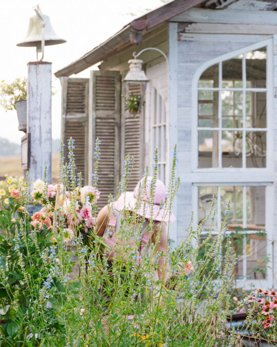 flower gardener among the flowers.