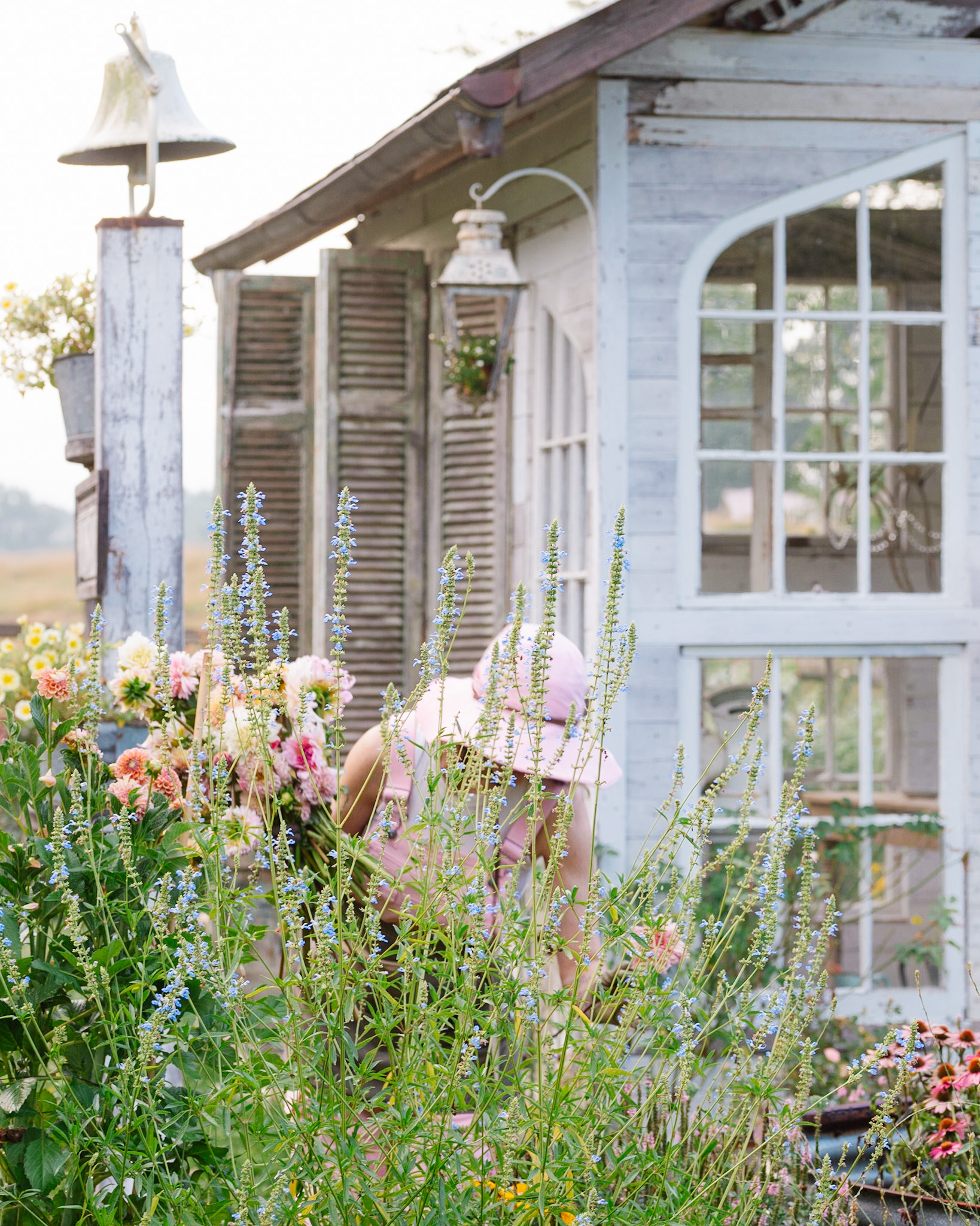 flower gardener among the flowers flower gardener among the flowers. Growing the flower garden