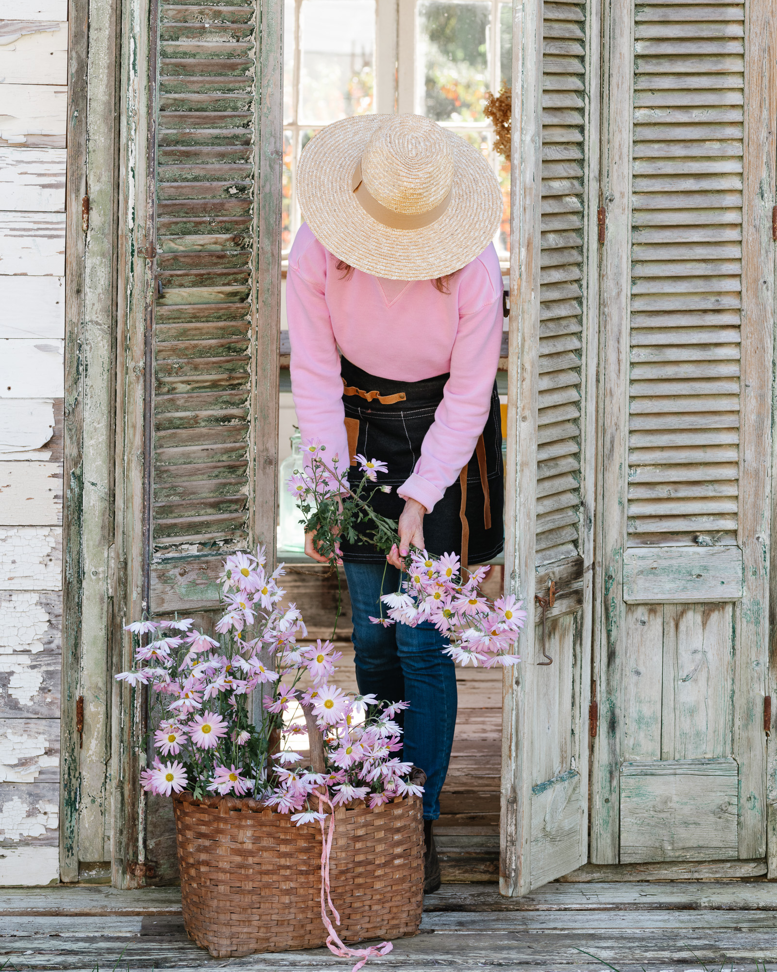 November in the Flower Garden