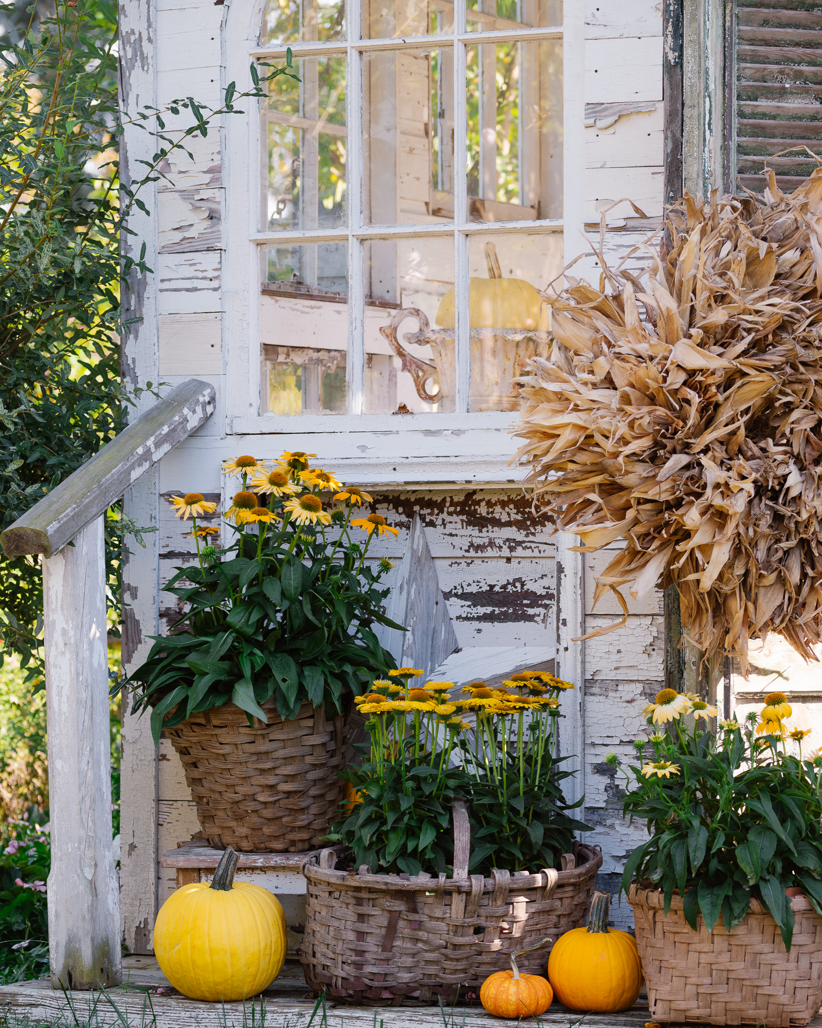 The Flower House Styled for Fall