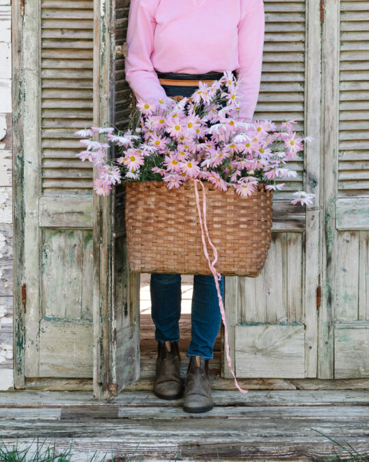 November in the Flower Garden