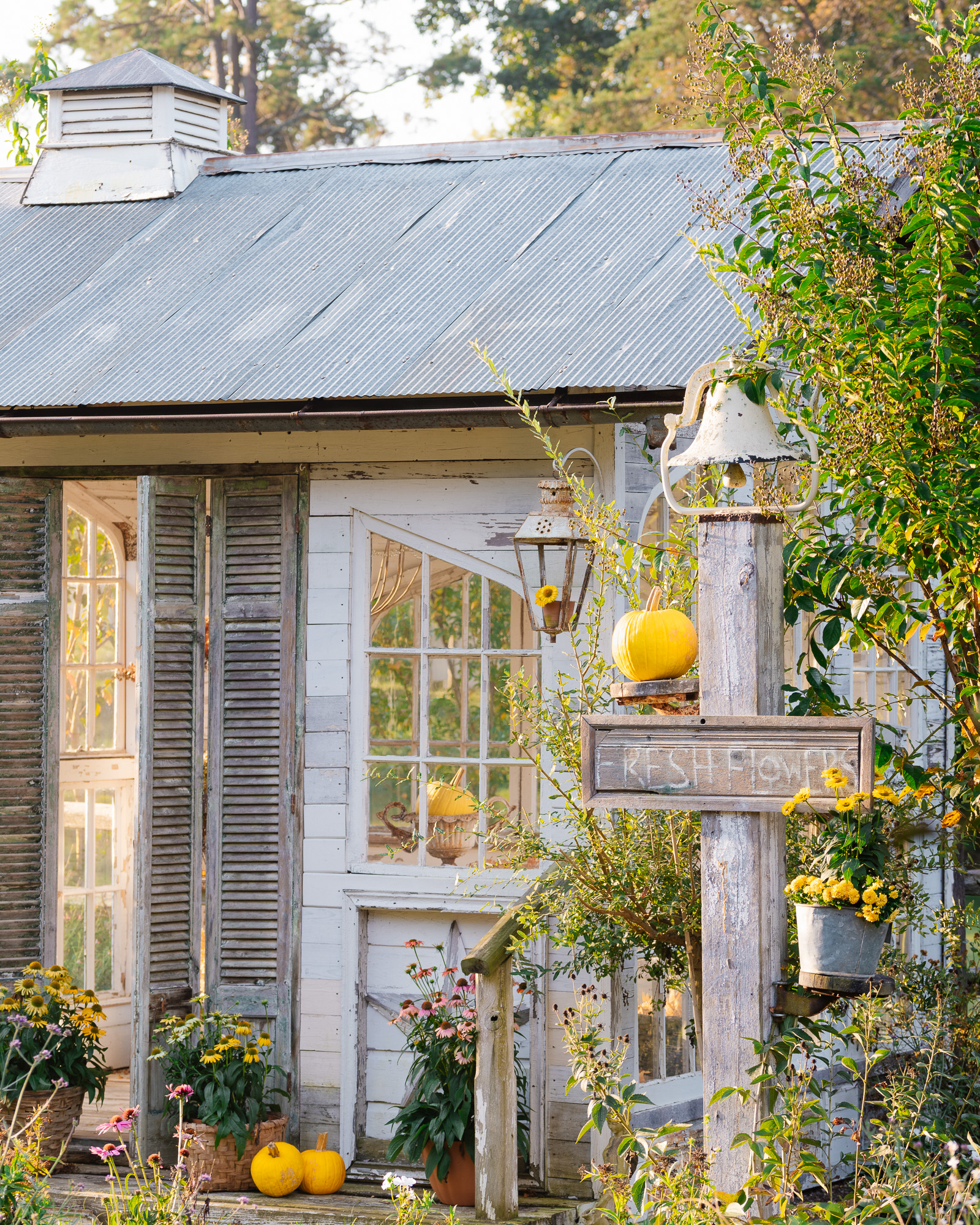 The Flower House in the fall