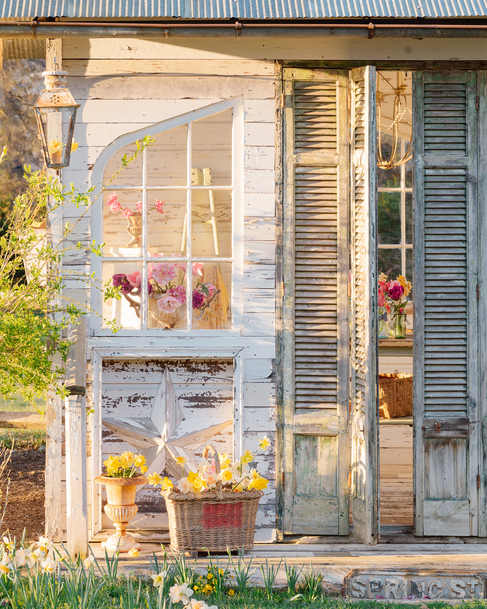 The Flower House with tulips and daffodils