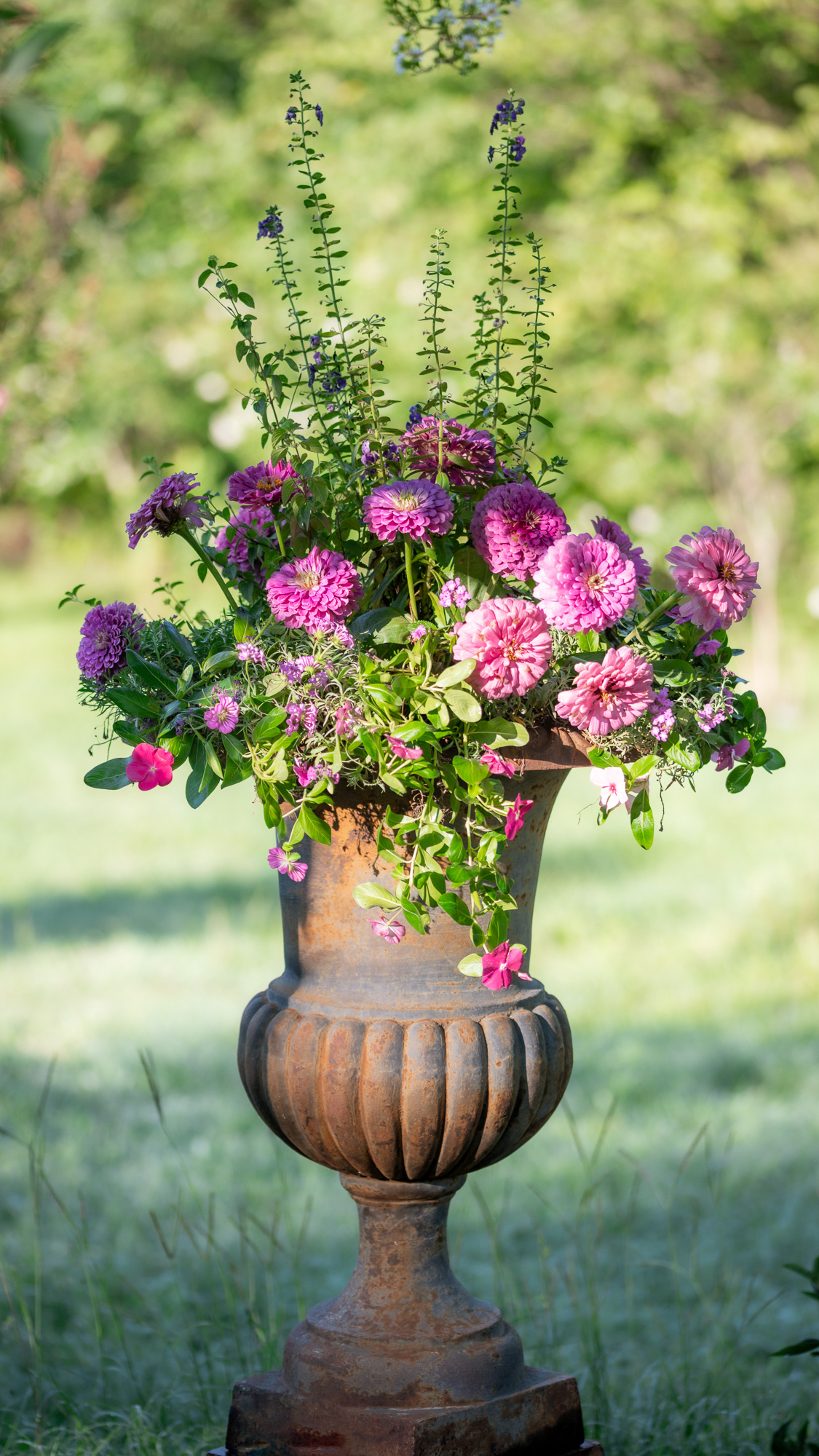 The Flower Garden In Late August