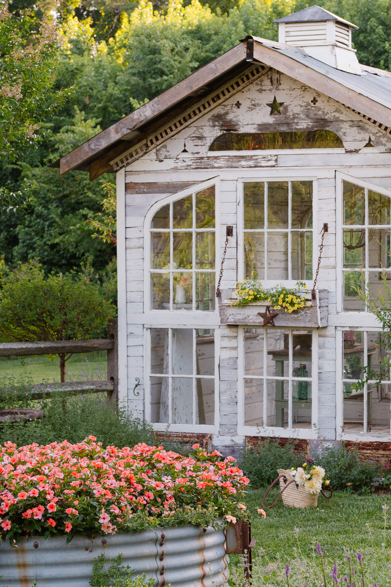 The Flower Garden In August