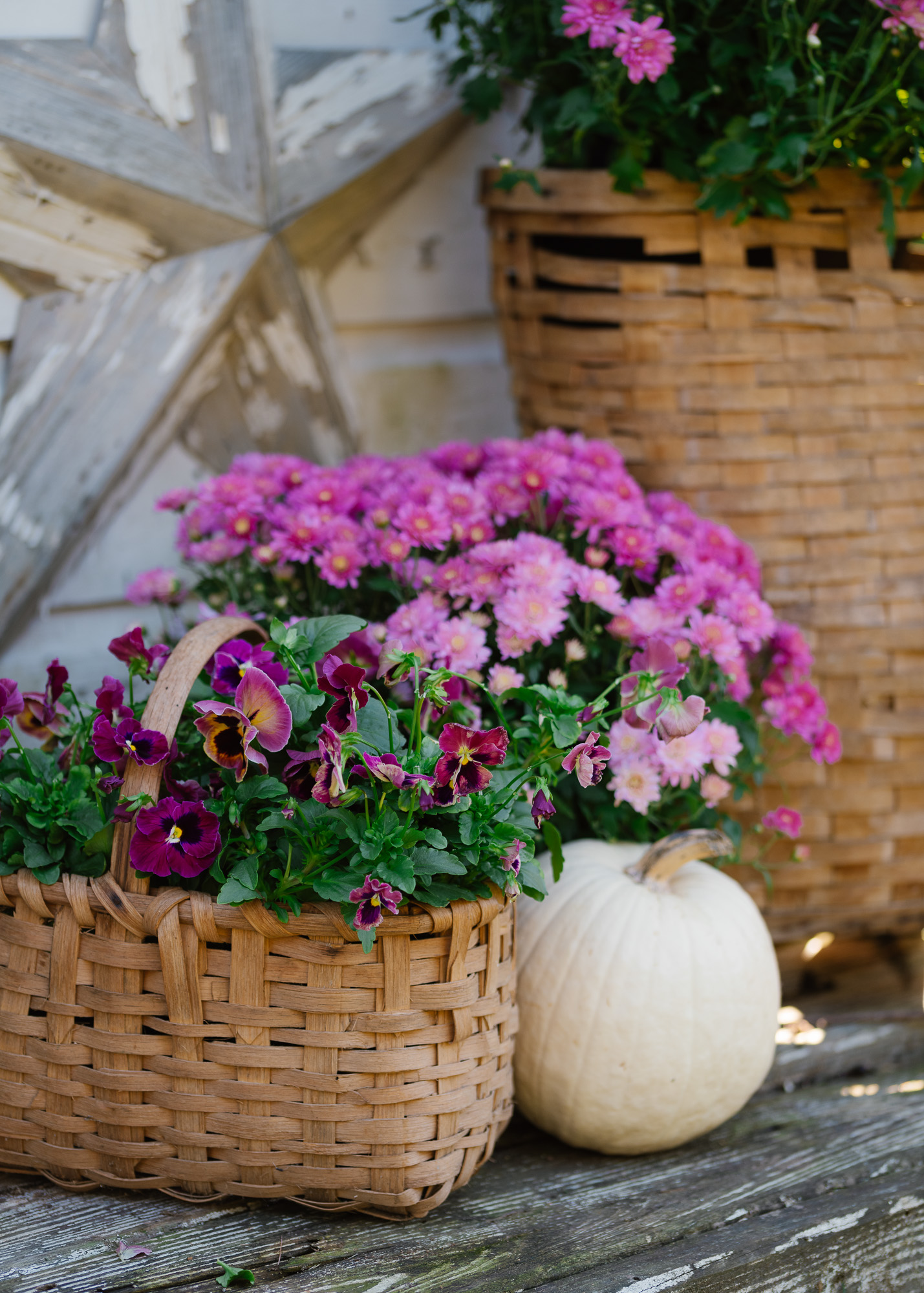 vintage basket filled with pansies and a white pumpkin and pink mum